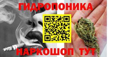 гидра Камышлов