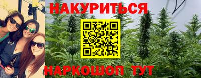 гидра Камышлов
