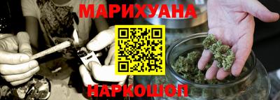 гидра Камышлов
