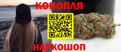 прущие грибы Кандалакша