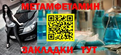 прущие грибы Кандалакша
